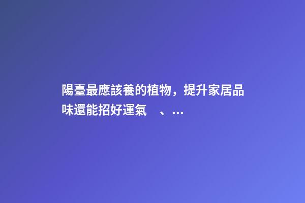 陽臺最應該養的植物，提升家居品味還能招好運氣、阻隔不良氣場